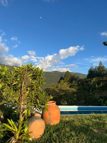 Навколишнє середовище, Quillmito Wasi in Cuispes Навколишнє середовище, Quillmito Wasi in Cuispes