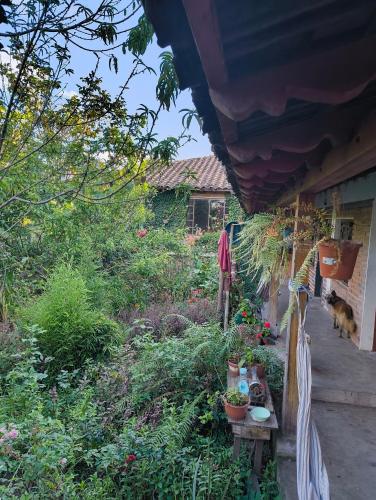 Pakarina Hospedaje Familiar in 哥塔卡奇 Pakarina Hospedaje Familiar in 哥塔卡奇