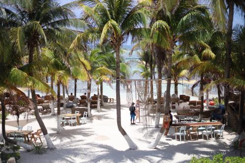 Strand, Noah Beach Hotel & Suites in Mahahual Strand, Noah Beach Hotel & Suites in Mahahual