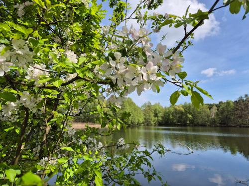 Kilátás, Am Storchennest in Ludwigsfelde Kilátás, Am Storchennest in Ludwigsfelde