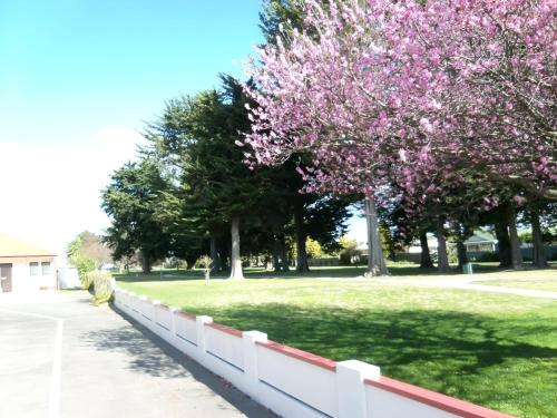 ทัศนียภาพ, Napier Nest Motel in โอเนกาวา ทัศนียภาพ, Napier Nest Motel in โอเนกาวา