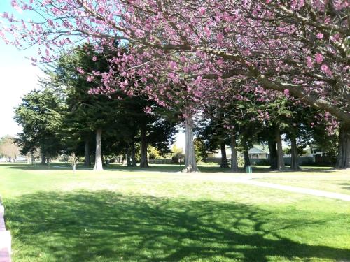 ทัศนียภาพ, Napier Nest Motel in โอเนกาวา ทัศนียภาพ, Napier Nest Motel in โอเนกาวา