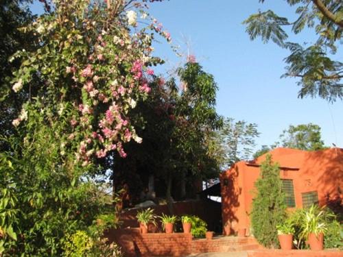 Roopam Resort Ranakpur in Ranakpur Roopam Resort Ranakpur in Ranakpur