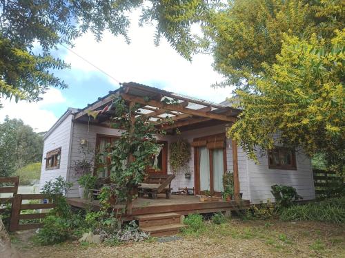 Bilú (Bilu) in La Pedrera Bilú (Bilu) in La Pedrera