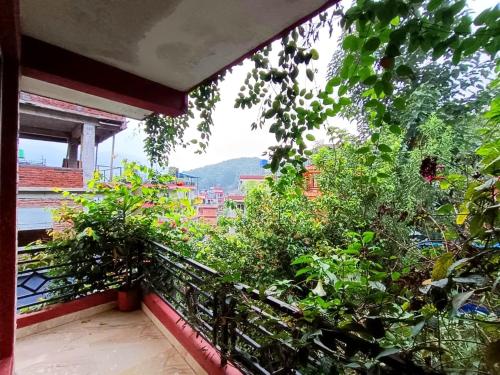 HOTEL FORESTWAY Hostel & Backpackers in Pokhara HOTEL FORESTWAY Hostel & Backpackers in Pokhara