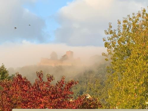 Ferienhaus Mandelblüte (Ferienhaus Mandelblute) in Klingenmunster Ferienhaus Mandelblüte (Ferienhaus Mandelblute) in Klingenmunster