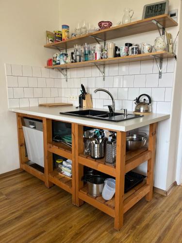 A comfortable apartment near Slovanské Square (A comfortable apartment near Slovanske Square) in คราโลโว โปเล A comfortable apartment near Slovanské Square (A comfortable apartment near Slovanske Square) in คราโลโว โปเล