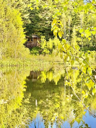 Cozy Off-Grid Cabin with Breathtaking Serene Views for a Peaceful Getaway Surrounded by Nature in Ba in Westmore Cozy Off-Grid Cabin with Breathtaking Serene Views for a Peaceful Getaway Surrounded by Nature in Ba in Westmore