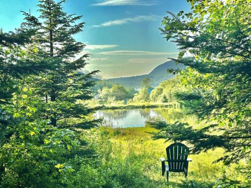 Cozy Off-Grid Cabin with Breathtaking Serene Views for a Peaceful Getaway Surrounded by Nature in Ba in Westmore Cozy Off-Grid Cabin with Breathtaking Serene Views for a Peaceful Getaway Surrounded by Nature in Ba in Westmore