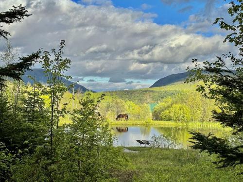 Cozy Off-Grid Cabin with Breathtaking Serene Views for a Peaceful Getaway Surrounded by Nature in Ba in Westmore Cozy Off-Grid Cabin with Breathtaking Serene Views for a Peaceful Getaway Surrounded by Nature in Ba in Westmore