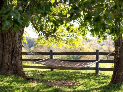 Breathtaking Cottage Rental on 100 Acres on the Shenandoah River, Virginia in Front Royal (VA) Breathtaking Cottage Rental on 100 Acres on the Shenandoah River, Virginia in Front Royal (VA)