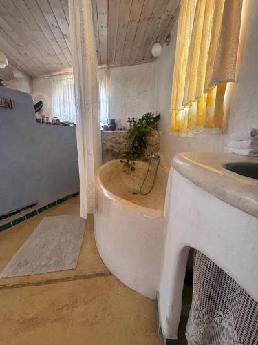 המצפה-אירוח מדברי עזוז in Beer Sheva המצפה-אירוח מדברי עזוז in Beer Sheva