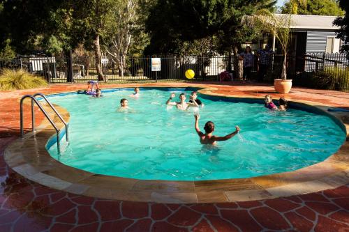 Swimming pool, Rivergum Holiday Park in Corowa Swimming pool, Rivergum Holiday Park in Corowa