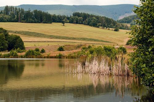 Penzion U školy (Penzion U skoly) in Stare Mesto Pod Sneznikem Penzion U školy (Penzion U skoly) in Stare Mesto Pod Sneznikem