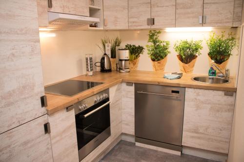 Kitchen, Ferienwohnungen "Am Muhlteich" in Radeburg Kitchen, Ferienwohnungen "Am Muhlteich" in Radeburg