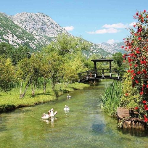 Eco Bay Montenegro in كوستانجيكا Eco Bay Montenegro in كوستانجيكا