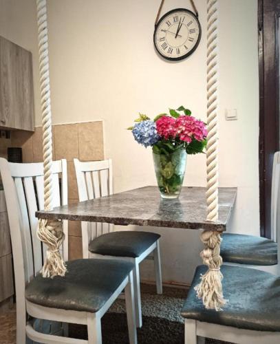 Eco Bay Montenegro in كوستانجيكا Eco Bay Montenegro in كوستانجيكا