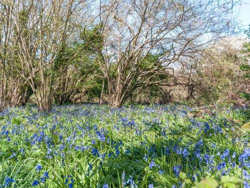 Facilities, 3 Bed in Borthwood IC015 in Arreton and Newchurch Facilities, 3 Bed in Borthwood IC015 in Arreton and Newchurch