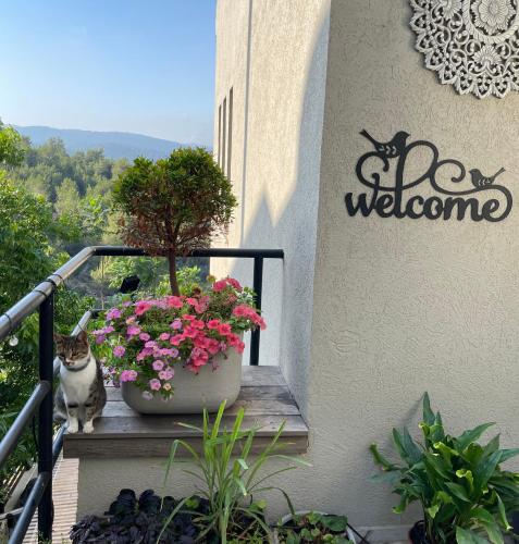 Amazing Private Suite with Garden, Pool, Hottub & Mountains View in Mount Carmel Amazing Private Suite with Garden, Pool, Hottub & Mountains View in Mount Carmel