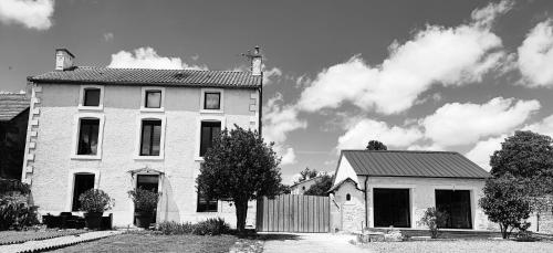 L'arbre de soie Futuroscope Albizia in Vouille L'arbre de soie Futuroscope Albizia in Vouille