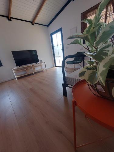 האגס 36 באליעד דרום הגולן in Eliad האגס 36 באליעד דרום הגולן in Eliad