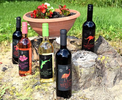 Ételek és italok, Villány Outback (Villany Outback) in Villánykövesd Ételek és italok, Villány Outback (Villany Outback) in Villánykövesd