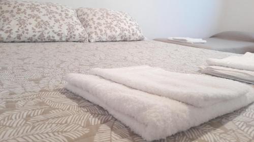 Piedrabuena Yenua in Comandante Luis Piedrabuena Piedrabuena Yenua in Comandante Luis Piedrabuena