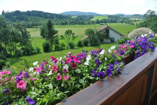 Balcony/terrace, Haus Am Waldrand - Ferienwohnung Augustin in Grafenau Balcony/terrace, Haus Am Waldrand - Ferienwohnung Augustin in Grafenau
