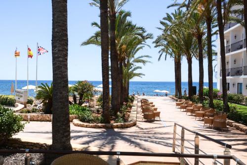 陽台/露台, 加泰羅尼亞瑟斯埃斯塔奎斯酒店- 僅限成人 (Catalonia Ses Estaques - Adults Only) in 濱河聖埃烏拉利亞 陽台/露台, 加泰羅尼亞瑟斯埃斯塔奎斯酒店- 僅限成人 (Catalonia Ses Estaques - Adults Only) in 濱河聖埃烏拉利亞