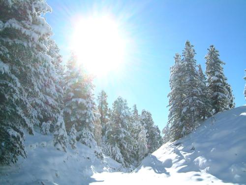 Alrededores, Ritas Alm in Turracher Hohe Alrededores, Ritas Alm in Turracher Hohe