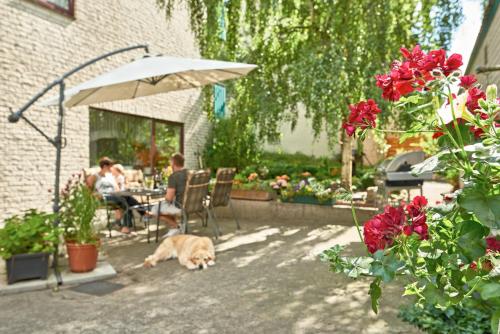 設施, 厄爾菲膳食公寓酒店 (Hotel-Pension Elfi) in 巴德 貝文森 設施, 厄爾菲膳食公寓酒店 (Hotel-Pension Elfi) in 巴德 貝文森