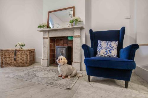 Pet Friendly Paddo Terrace in แพดดิงตัน Pet Friendly Paddo Terrace in แพดดิงตัน