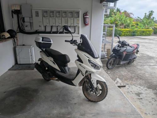 Backpackers in Paradise in Efate Backpackers in Paradise in Efate