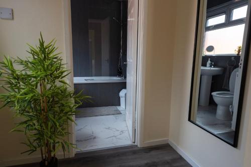 Caras Place , Falls Road in ฟอลส์ พาร์ก Caras Place , Falls Road in ฟอลส์ พาร์ก