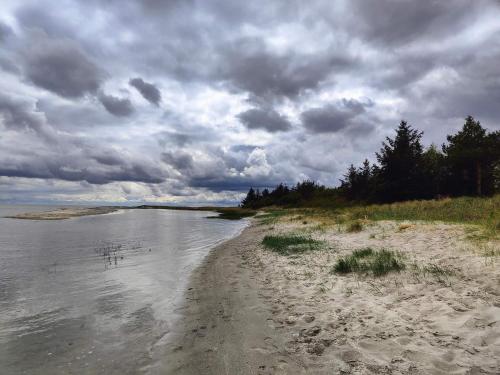 Vista, 4 person holiday home in Hals-By Traum in Hou Vista, 4 person holiday home in Hals-By Traum in Hou