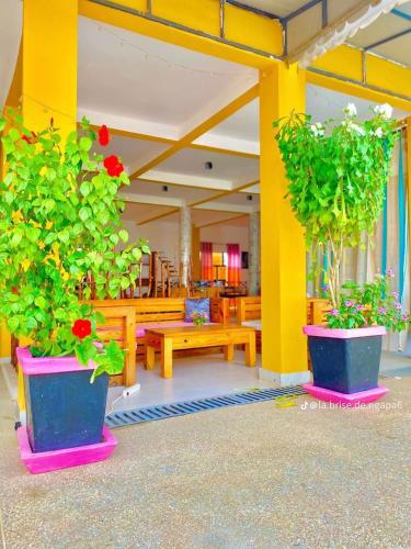 酒店外观, La Brise de Ngaparou in 加帕罗尔 酒店外观, La Brise de Ngaparou in 加帕罗尔