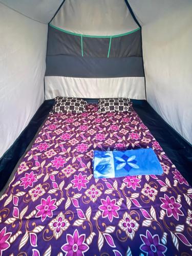 Joel Adventure & camp in Pynursla Joel Adventure & camp in Pynursla