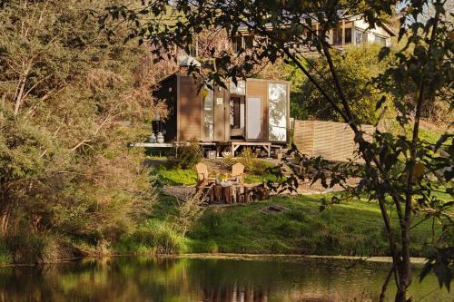 The Whistling Frog by Tiny Away in เนียริมใต้ The Whistling Frog by Tiny Away in เนียริมใต้