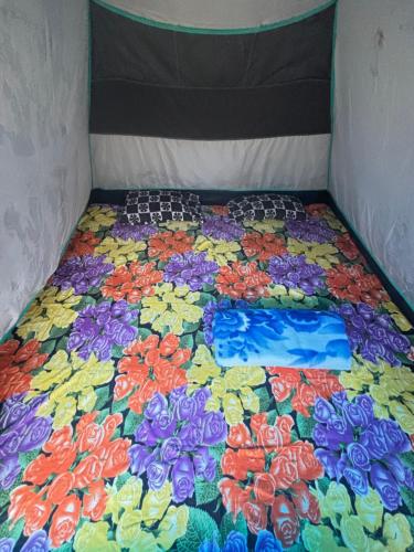 Joel Adventure & camp in Pynursla Joel Adventure & camp in Pynursla