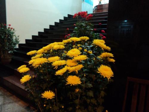An Phuc Hotel in Nguyen An Ninh An Phuc Hotel in Nguyen An Ninh