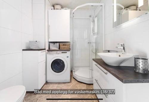 Baño, Hovden Alpin Apartments in Hovden Baño, Hovden Alpin Apartments in Hovden