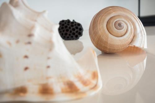 This photo about Hua Hin luxury Condo By The Ocean shared on HyHotel.com