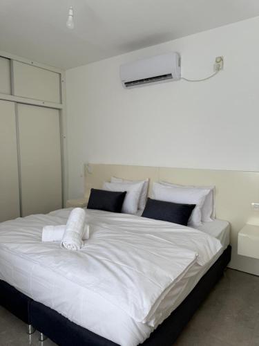 צליל ההר - The sounds of the mountain in Safedas צליל ההר - The sounds of the mountain in Safedas