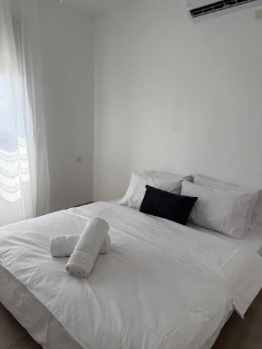 צליל ההר - The sounds of the mountain in Safedas צליל ההר - The sounds of the mountain in Safedas