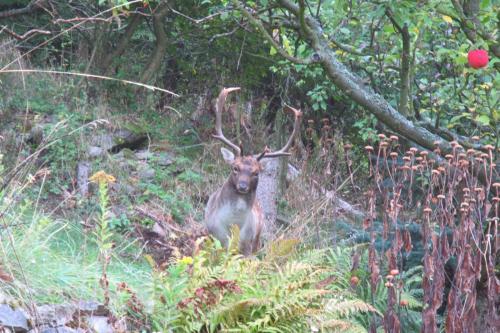 Radja Hobit Penzion in Chudoslavice Radja Hobit Penzion in Chudoslavice