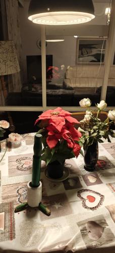 Rivitalo-asunto Jarvenpaassa Saunakallion aseman lahella in Jarvenpaa Rivitalo-asunto Jarvenpaassa Saunakallion aseman lahella in Jarvenpaa