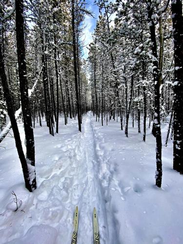 Suite on the Bay in Marsh Lake (YT) Suite on the Bay in Marsh Lake (YT)