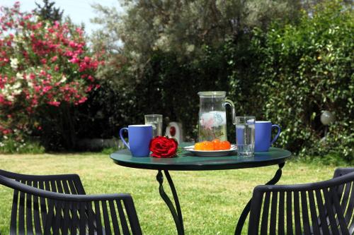 สวน, Summer House Louisa in เลฟคาดา สวน, Summer House Louisa in เลฟคาดา