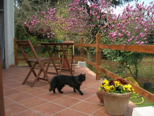 Balcony/terrace, Olive Tree Hill in Zagarolo Balcony/terrace, Olive Tree Hill in Zagarolo