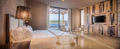 ห้องส่วนกลางสำหรับนั่งเล่น/ดูทีวี, Rosell Boher Winery Lodge & Spa in ลูคัง เด กูโย ห้องส่วนกลางสำหรับนั่งเล่น/ดูทีวี, Rosell Boher Winery Lodge & Spa in ลูคัง เด กูโย